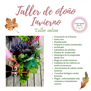 Taller grupal de huerto otoño invierno online