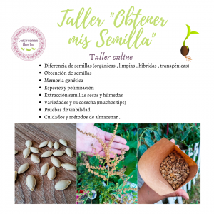 Taller «Obtener mis Semillas»