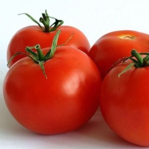 Semillas de tomates cal ace