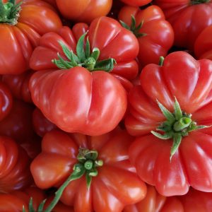 Semillas de tomate costoluto genovese