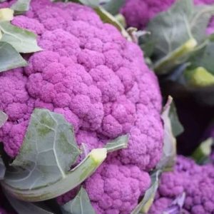 Semillas de coliflor purple of Sicily