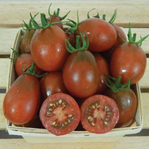 Semillas de tomate black plum