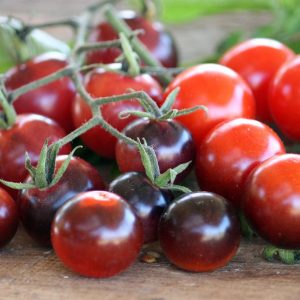 Semillas de tomate blue berry