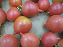 Semillas de tomate ramallet