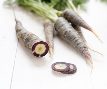 Semillas de zanahoria blanca morada