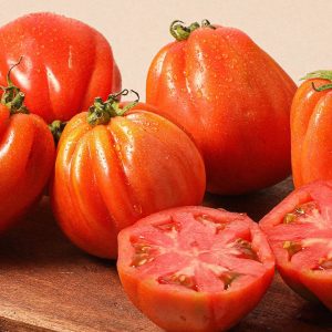 Semillas de tomate corazón de buey